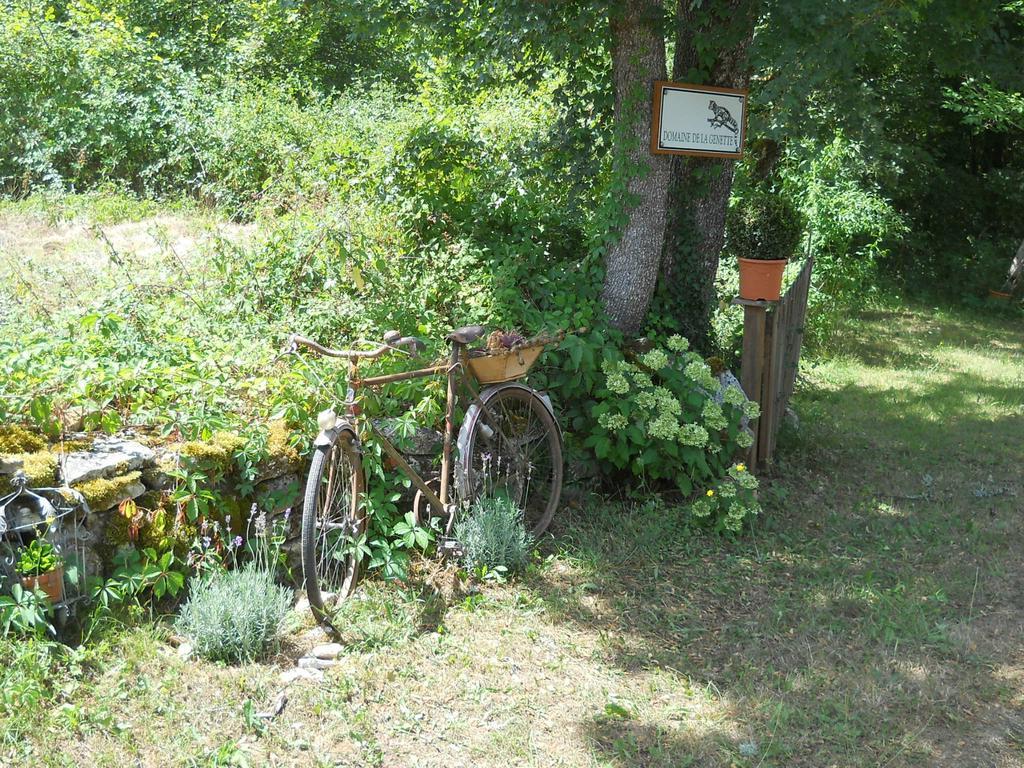 Le Domaine De La Genette Vila Paussac-et-Saint-Vivien Exterior foto